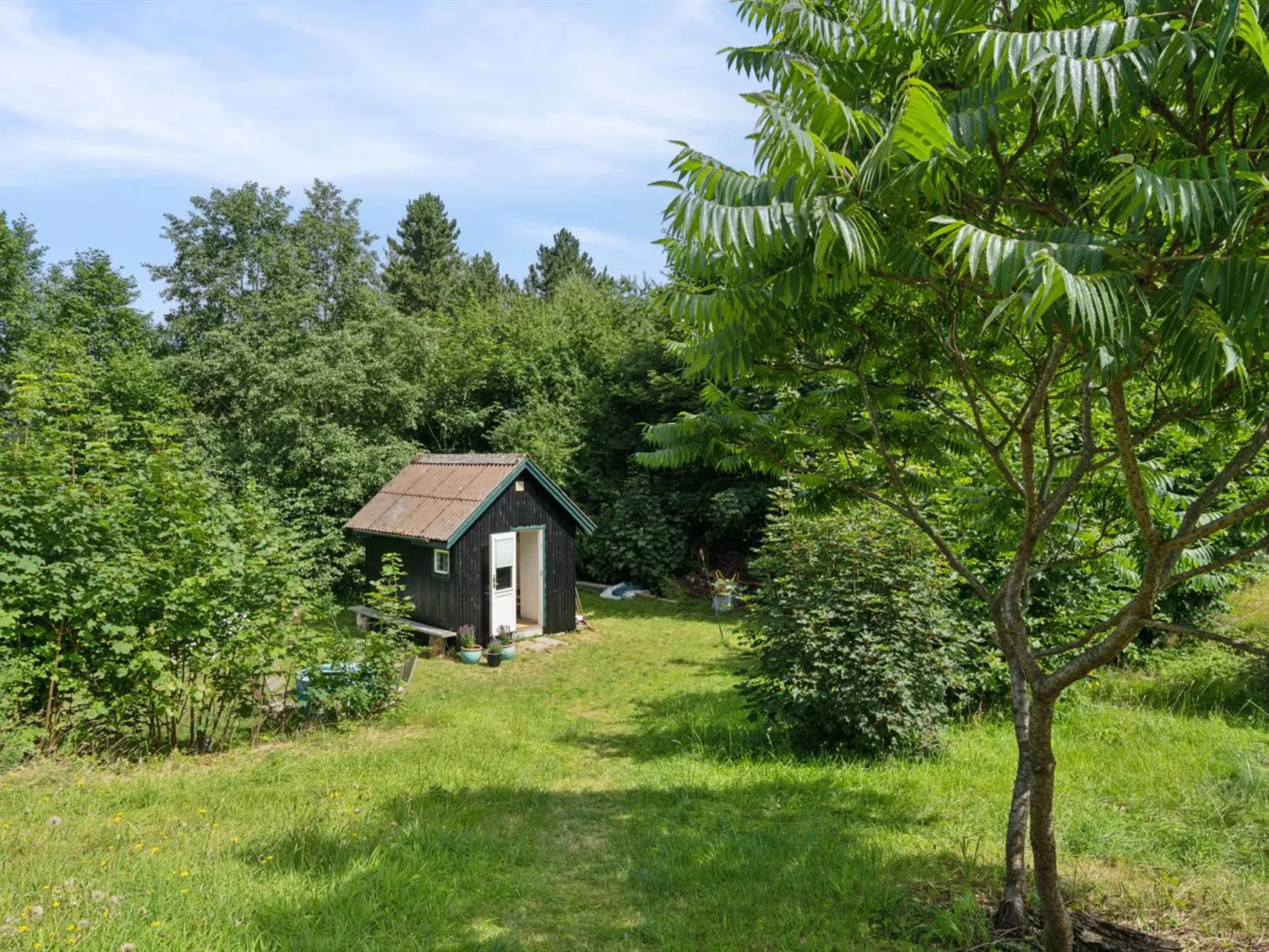 "Marjanne" - 800m from the sea-Buiten