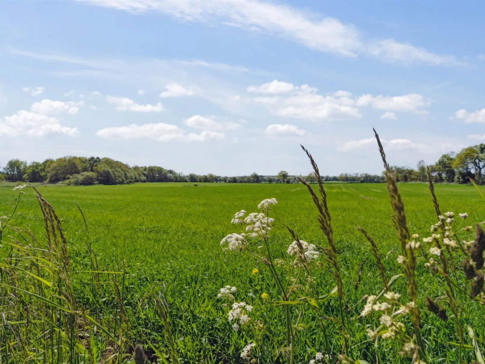 "Aarni" - 6.5km from the sea-Buiten