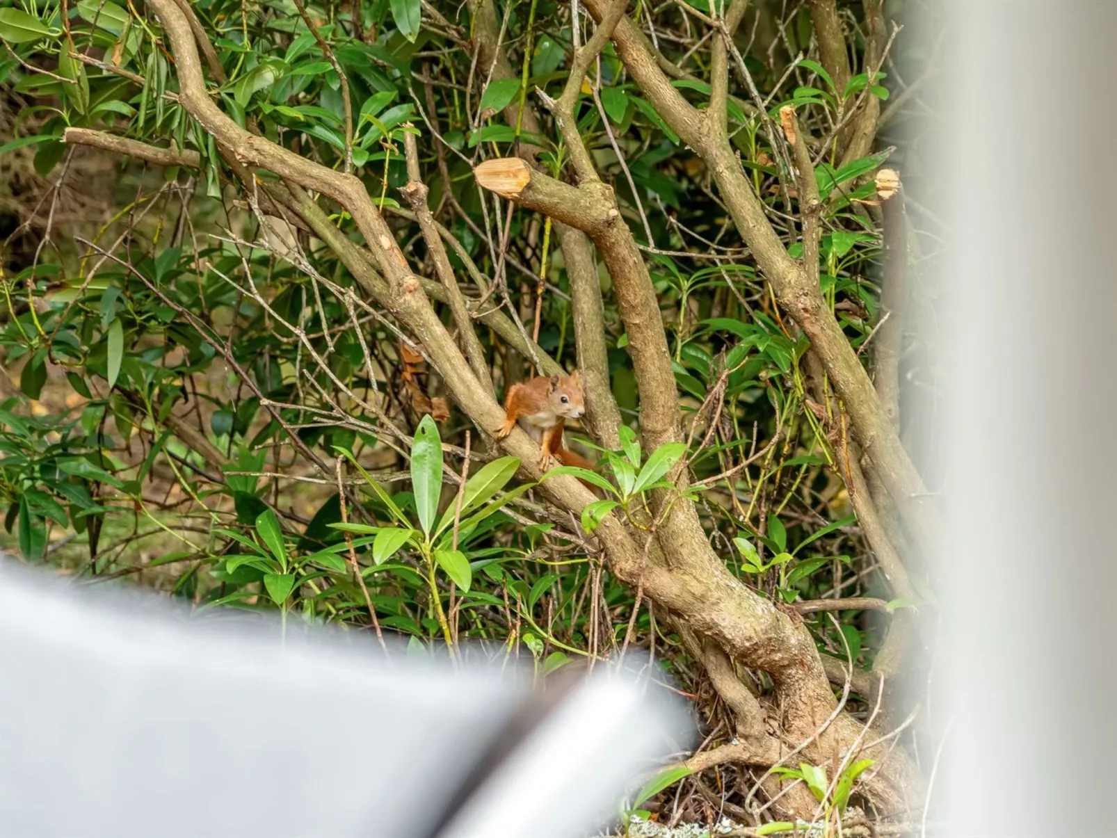 "Melisa" - 3km from the sea-Buiten