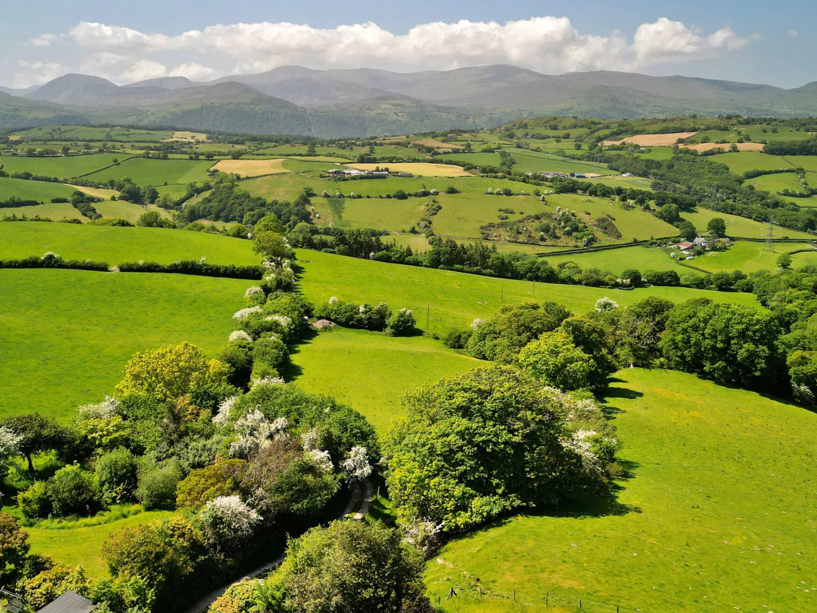 Buzzards View-Buiten