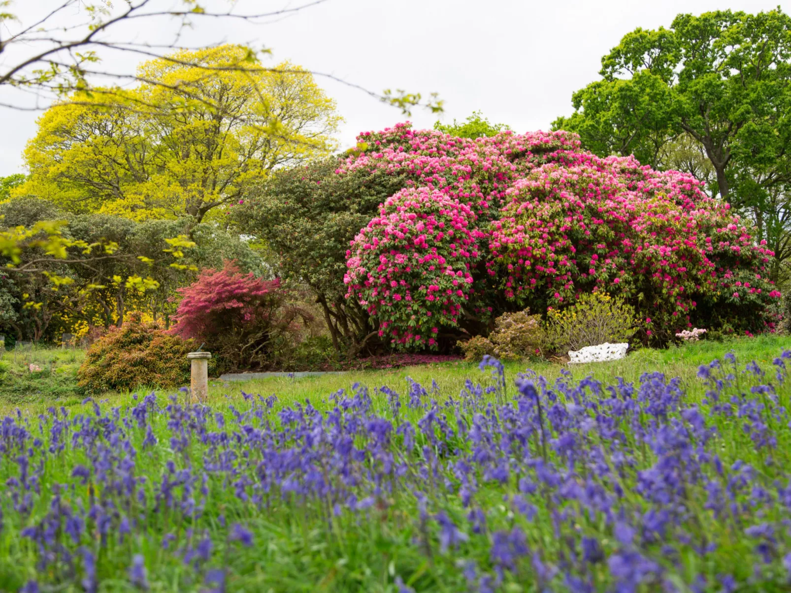 Historic Castle on River Tamar-Buiten