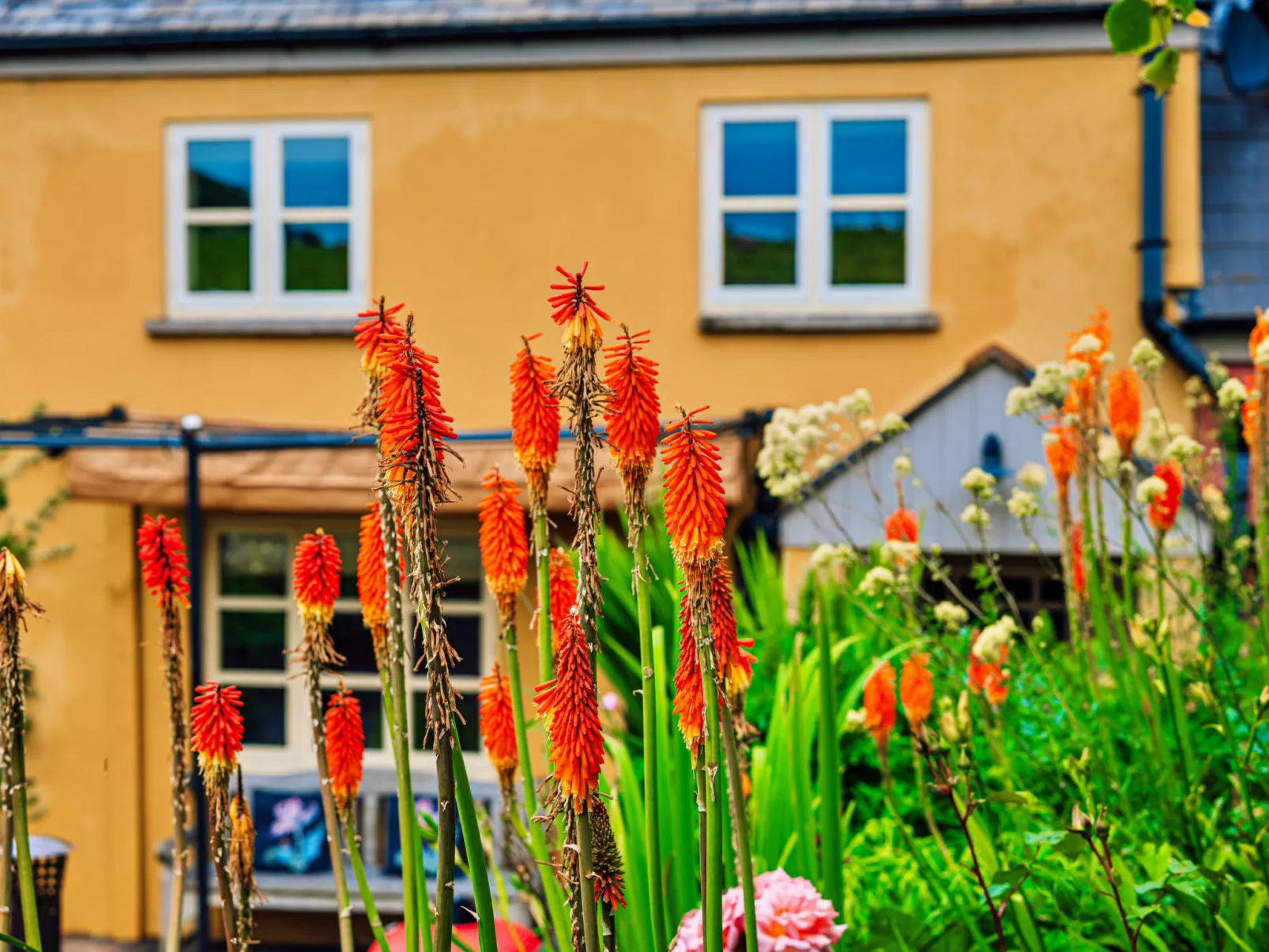 Beili Glas Cottage-Buiten