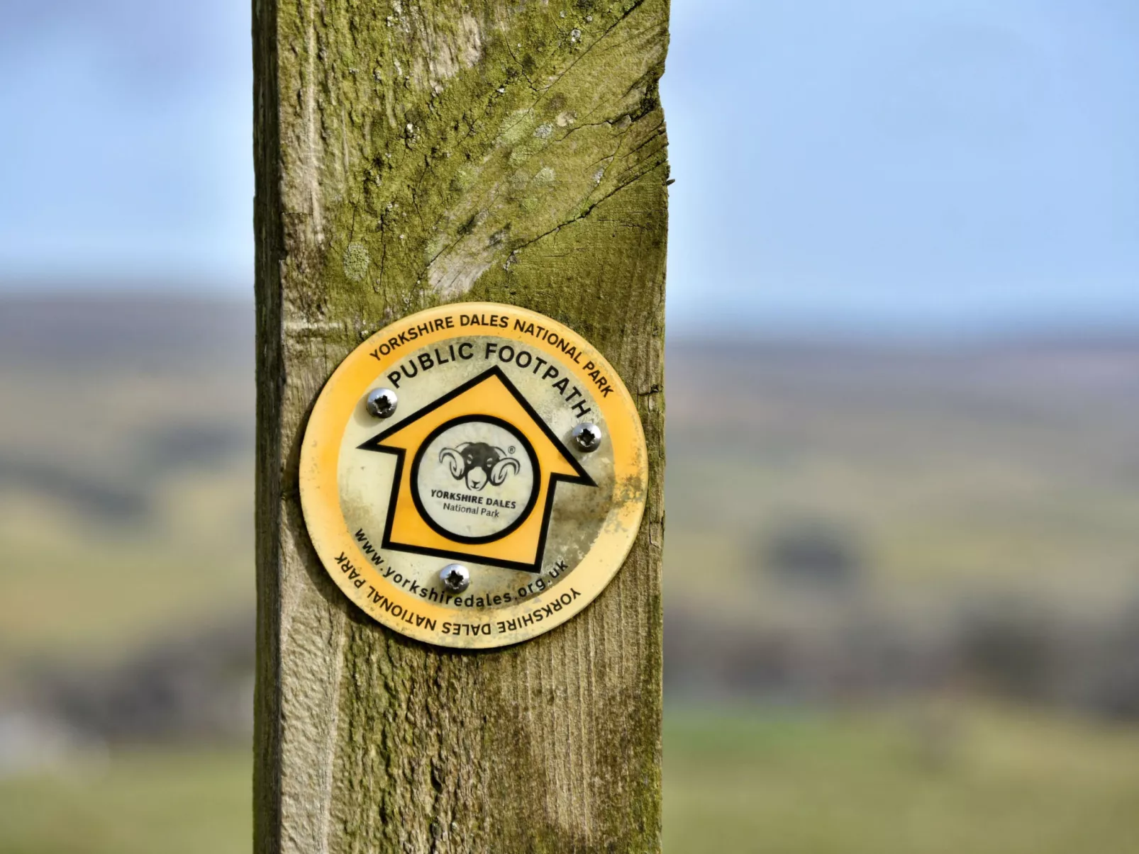 Dales Barn Top-Binnen