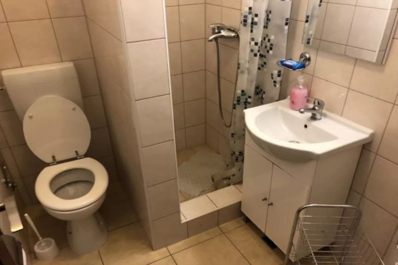 Apartmani Villa Borzic - One Bedroom Apartment with Terarce and Sea View 6-Badkamer