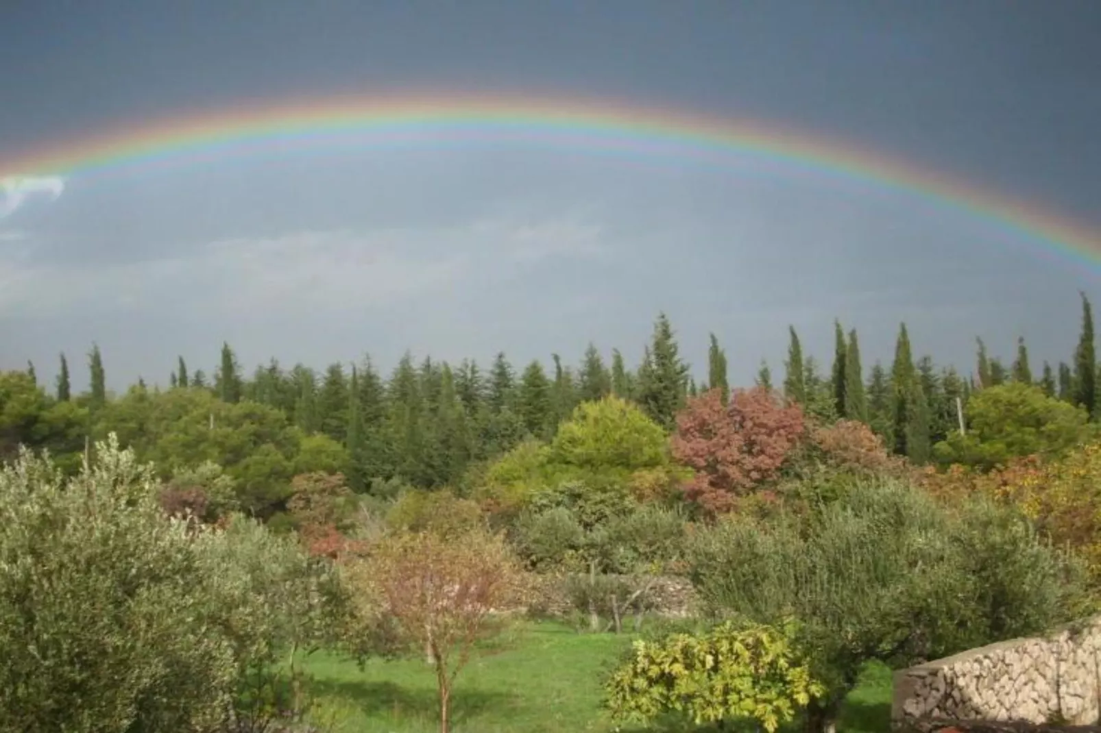 One Bedroom Apartment With Terrace (A1)-Niet-getagd