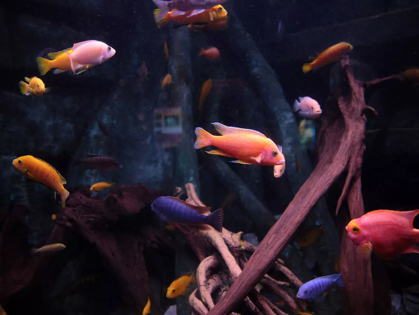 Dingle Bay View (TR2)-Buiten