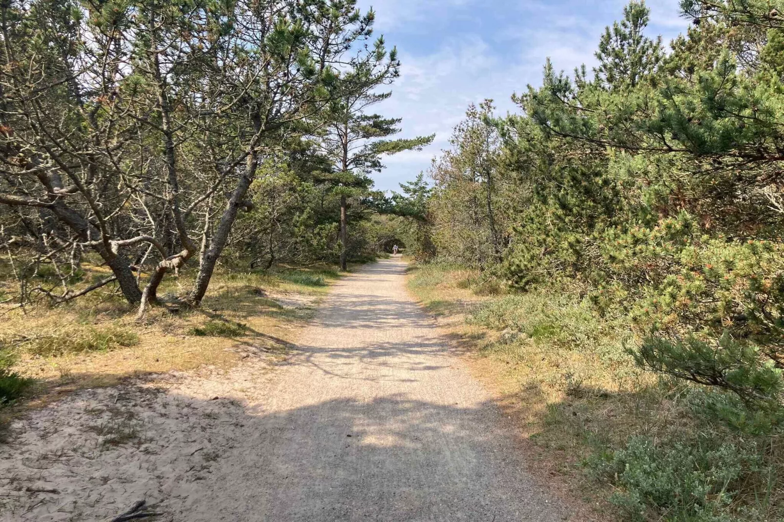 5 sterren vakantie huis in Skagen-Buitenlucht