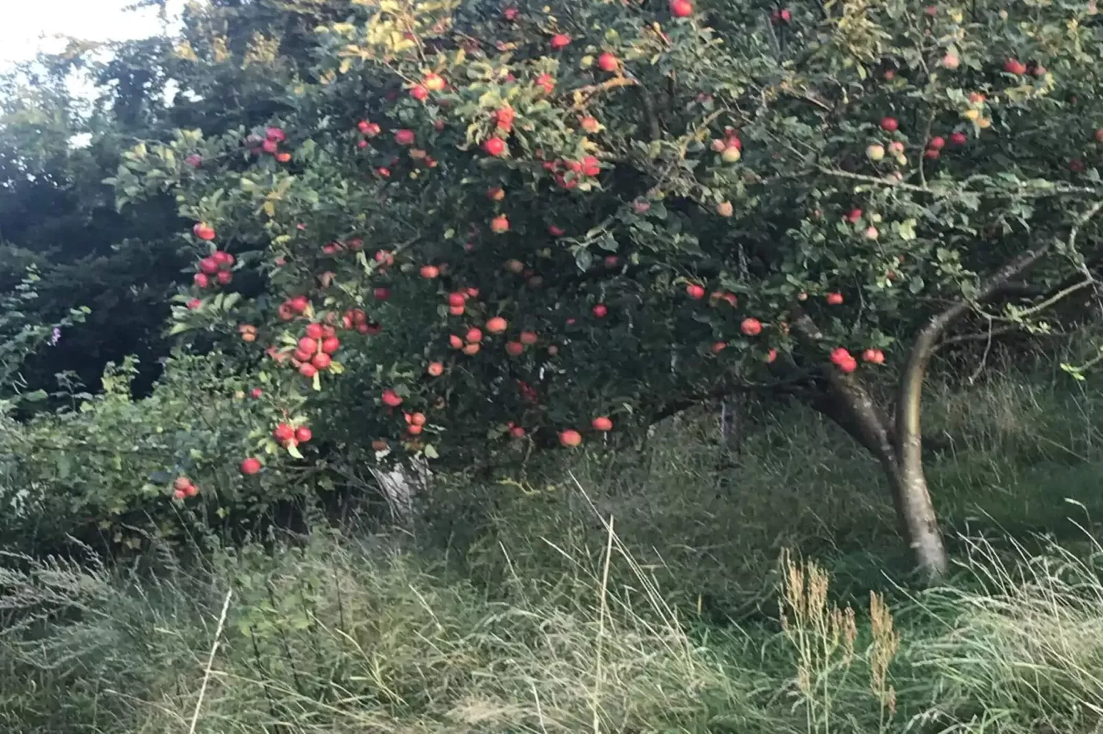 5 sterren vakantie huis in Ebeltoft-Niet-getagd