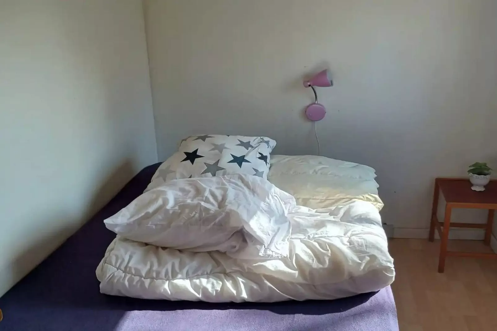 5 sterren vakantie huis in Odder