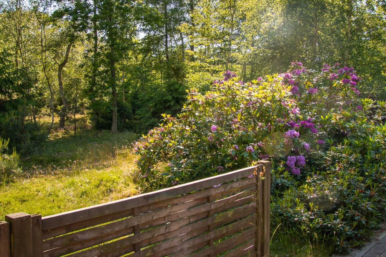 5 sterren vakantie huis in Store Fuglede-Buitenlucht