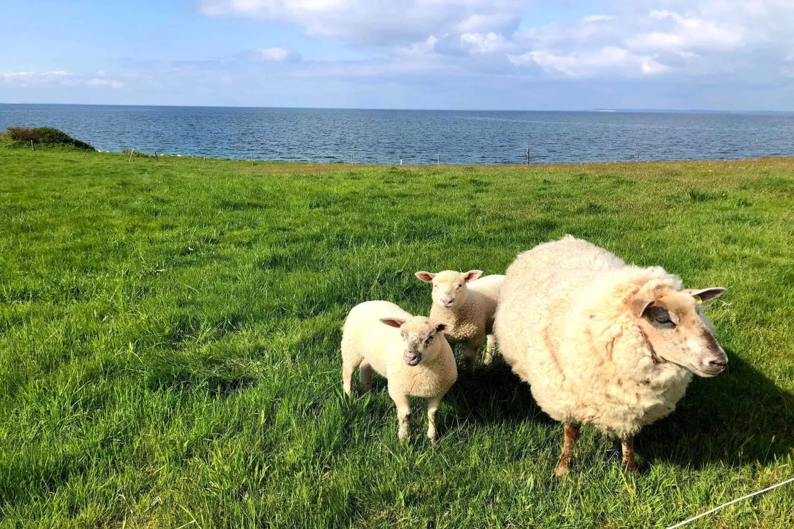 5 sterren vakantie huis in Assens-Buitenlucht