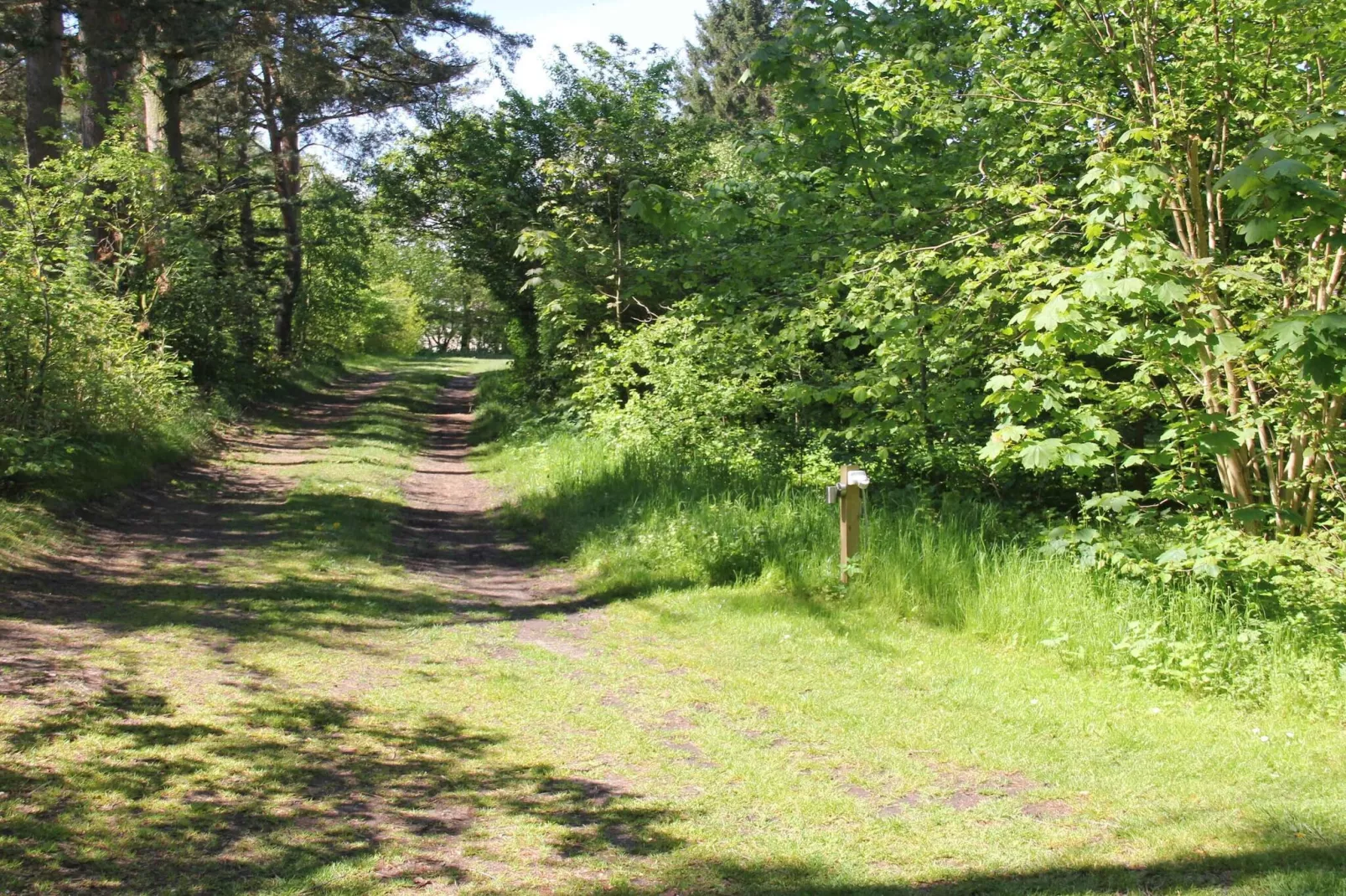 5 sterren vakantie huis in Hornbæk-Niet-getagd