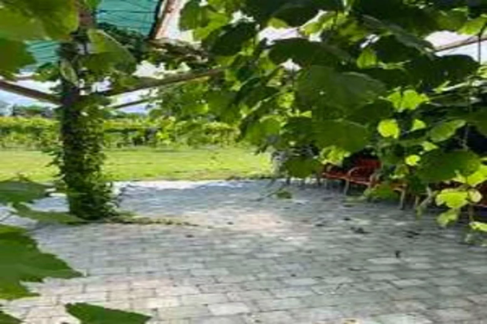 4 sterren vakantie huis in Karrebæksminde-Buitenlucht