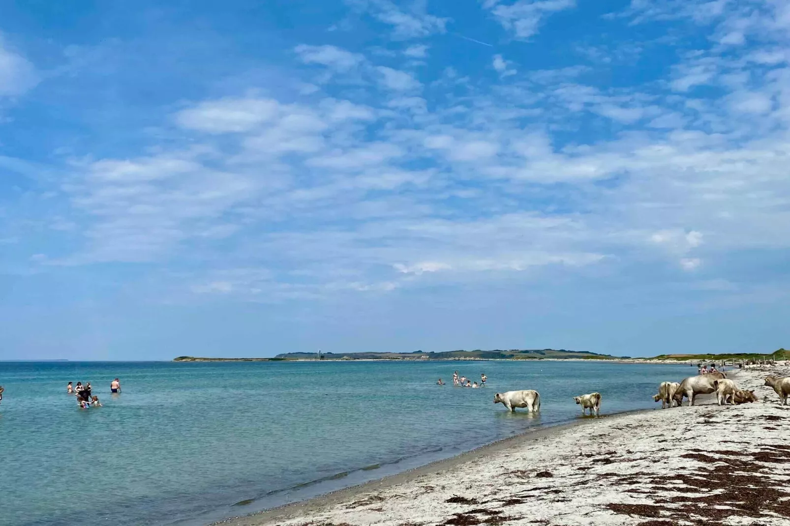 4 sterren vakantie huis in Føllenslev-Buitenlucht