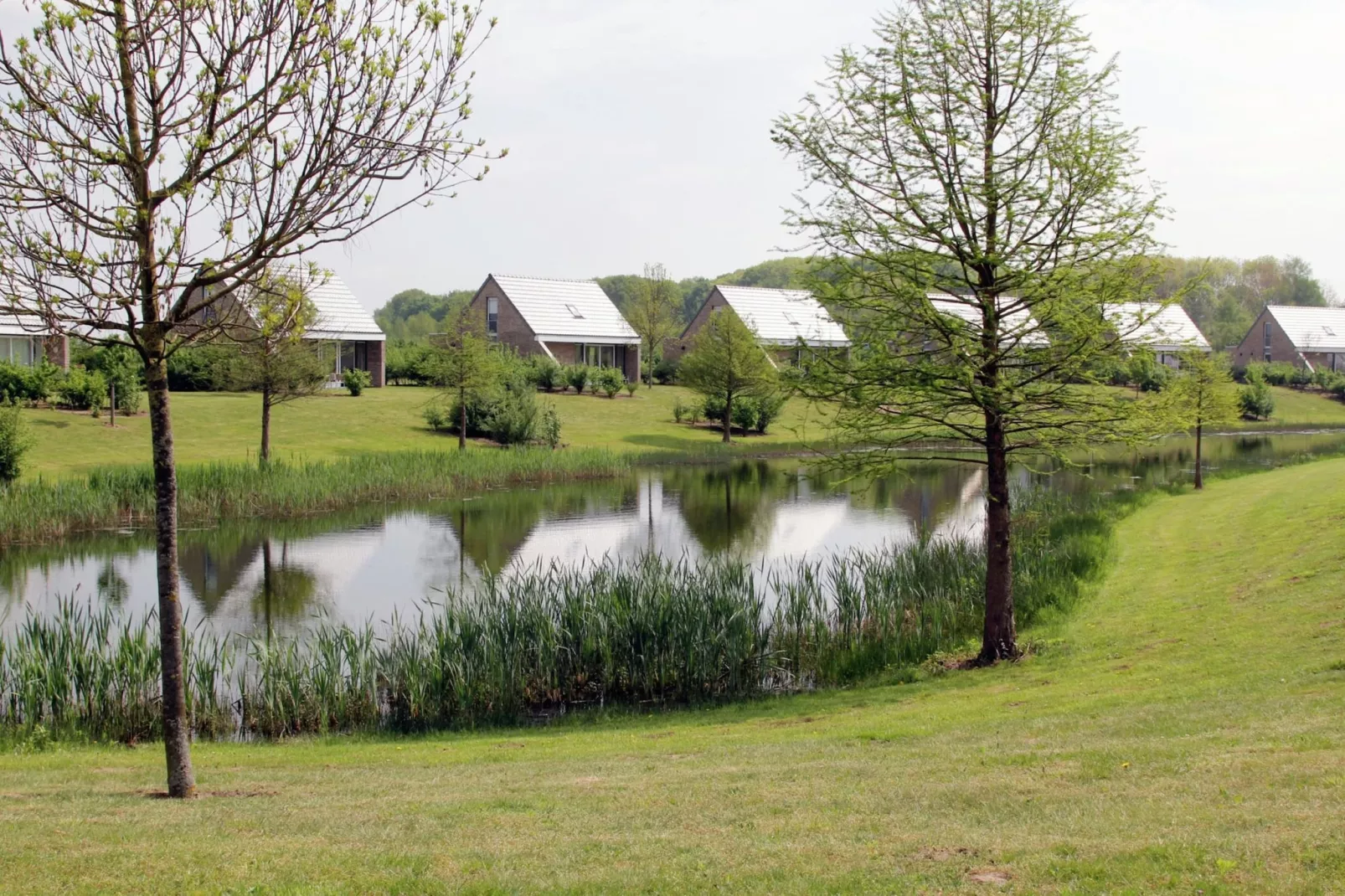 Boswoning-Gebieden zomer 1km