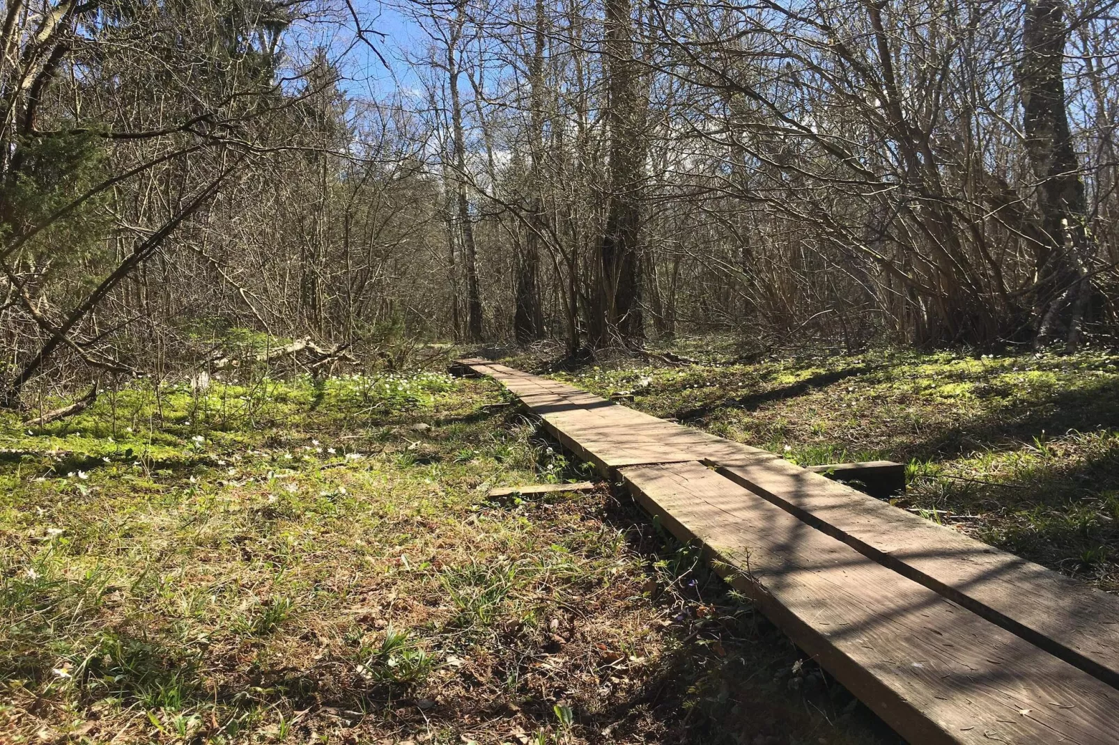 10 persoons vakantie huis in FÄRJESTADEN-Niet-getagd