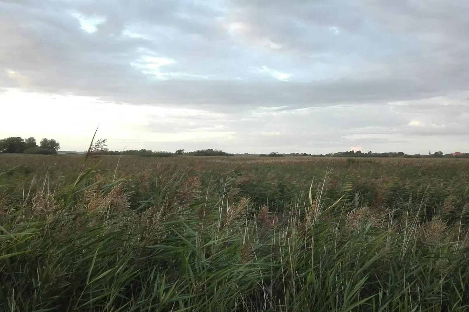 10 persoons vakantie huis in Højer-Niet-getagd