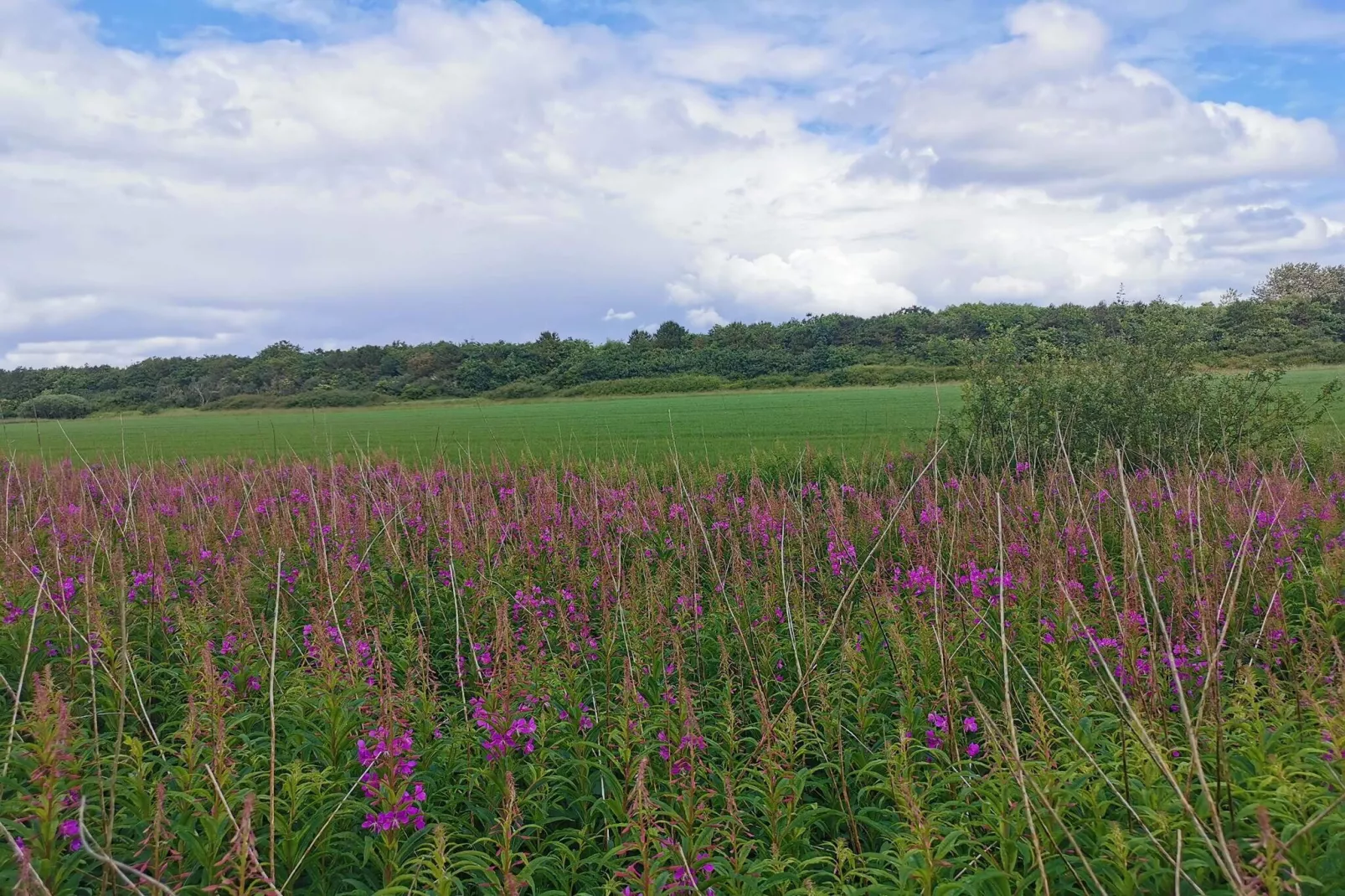 4 persoons vakantie huis in Nørre Nebel-Niet-getagd