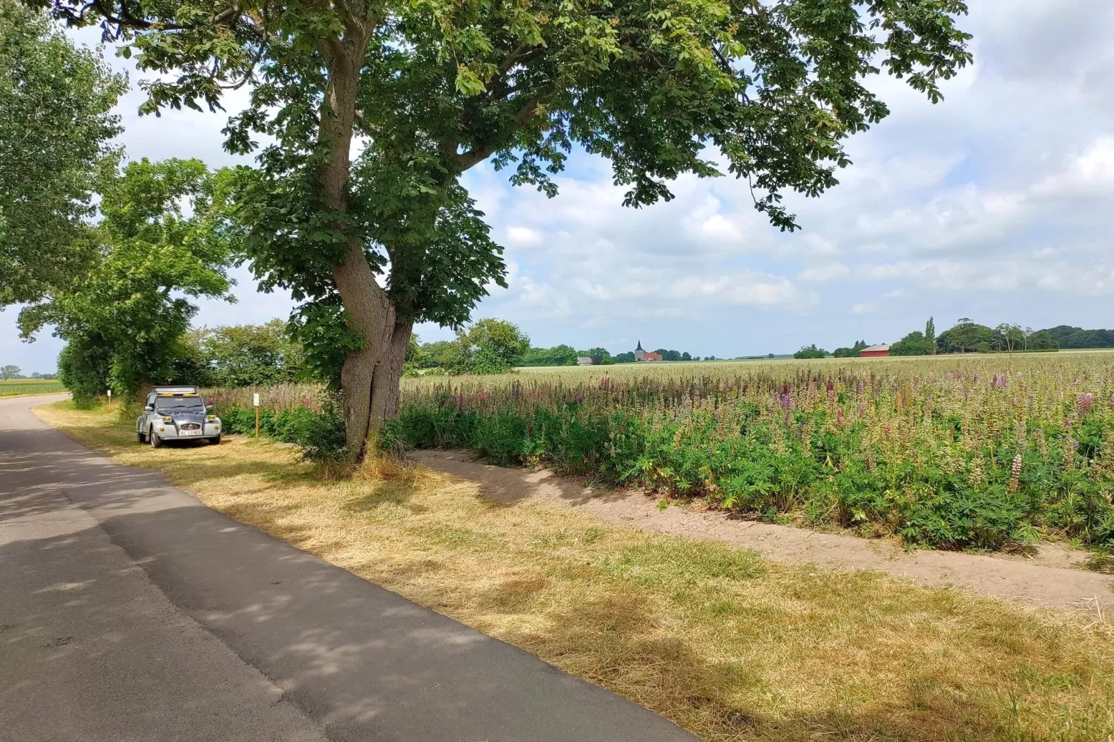 Historische Watertoren Toevluchtsoord-By Traum-Niet-getagd