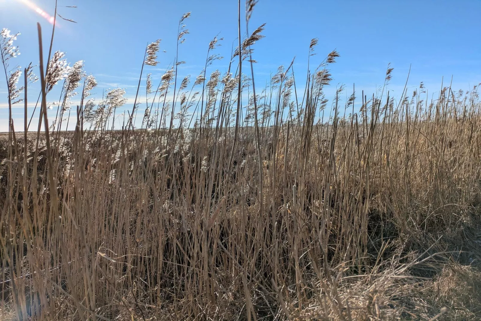 Luxe Strandverblijf in Blavand-By Traum-Niet-getagd
