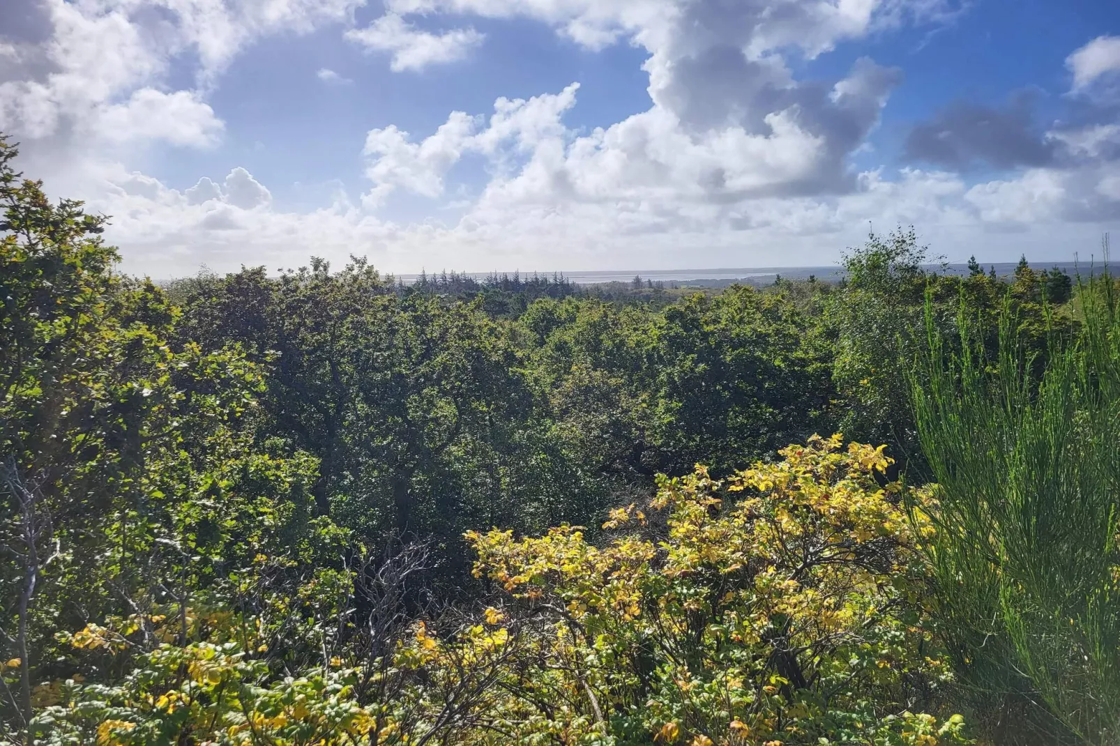 24 persoons vakantie huis in Nørre Nebel-Niet-getagd