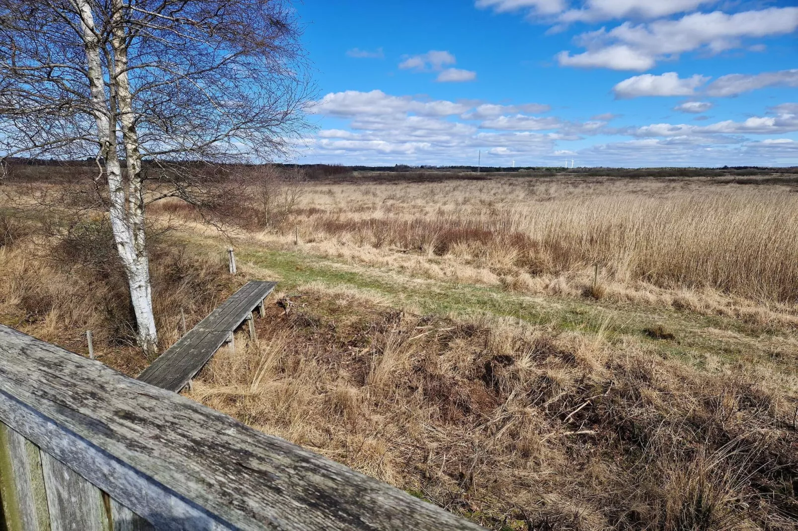 6 persoons vakantie huis in Bredebro-Niet-getagd