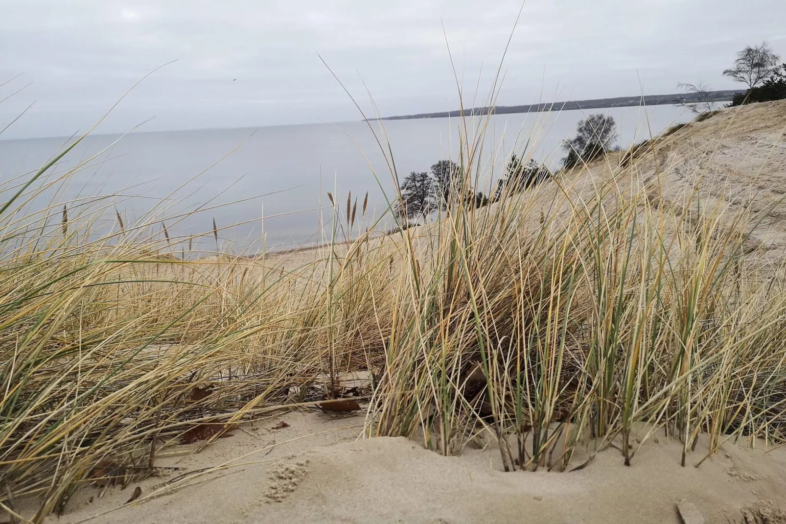 8 persoons vakantie huis in Børkop-Waterzicht