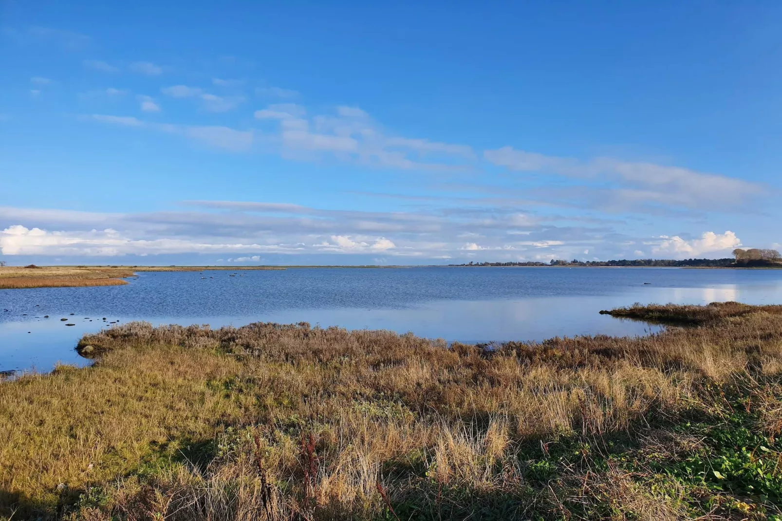 4 persoons vakantie huis in Martofte-Waterzicht