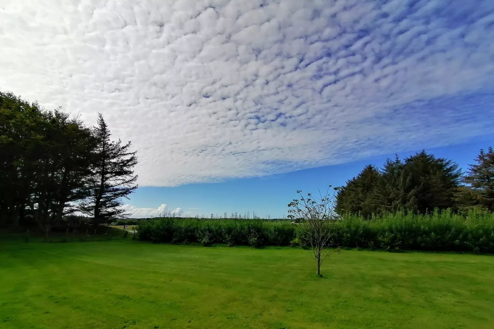 10 persoons vakantie huis in Løkken-Buitenlucht