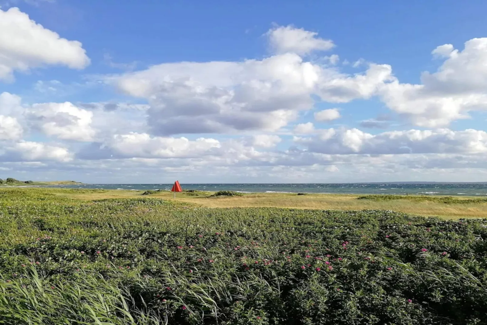 4 persoons vakantie huis in Knebel-Waterzicht