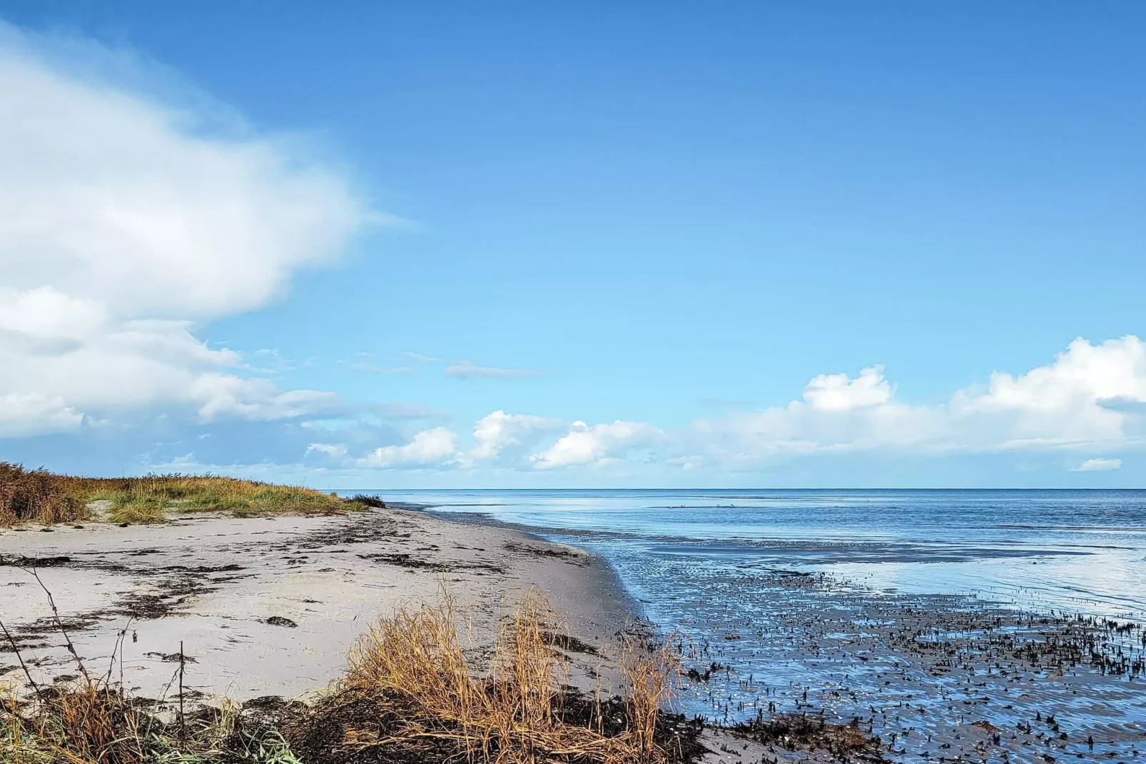 8 persoons vakantie huis in Væggerløse-Waterzicht