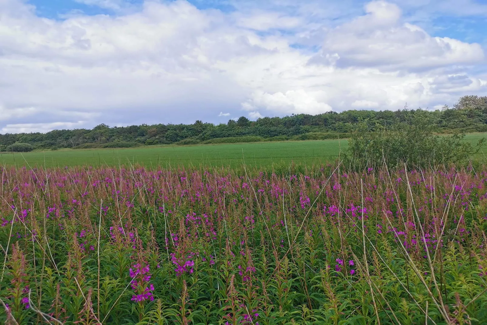 6 persoons vakantie huis in Nørre Nebel-Niet-getagd