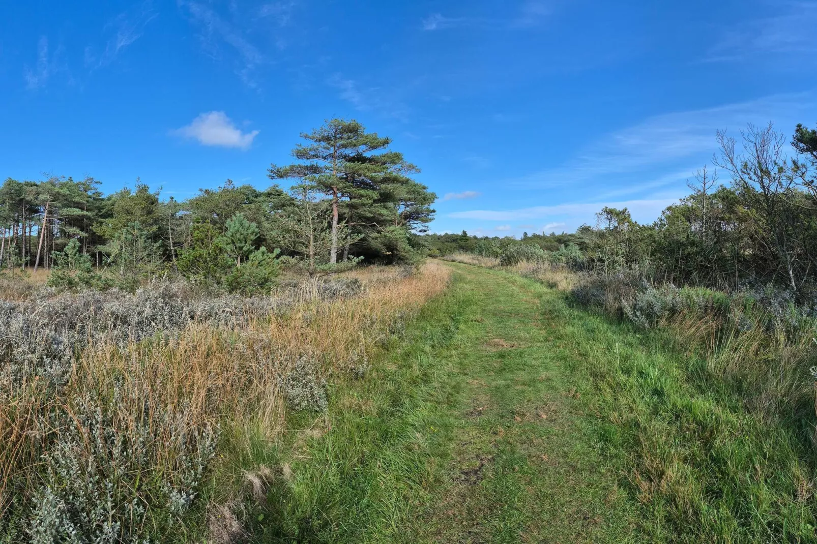 4 persoons vakantie huis in Rømø-By Traum-Niet-getagd