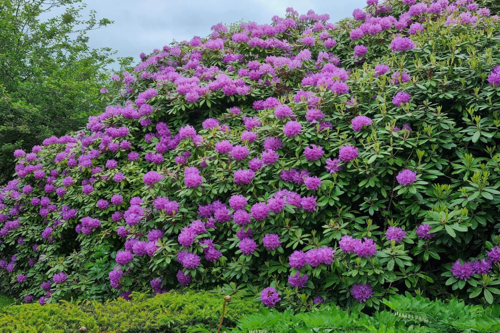 5 persoons vakantie huis in Højer-By Traum-Niet-getagd