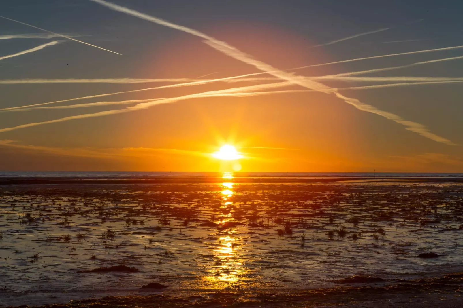 Gezellig Saunahuis met BBQ -- By Traum Ferienwohnungen