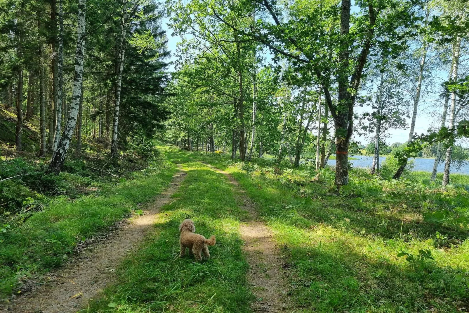 4 persoons vakantie huis in VETLANDA-By Traum-Niet-getagd