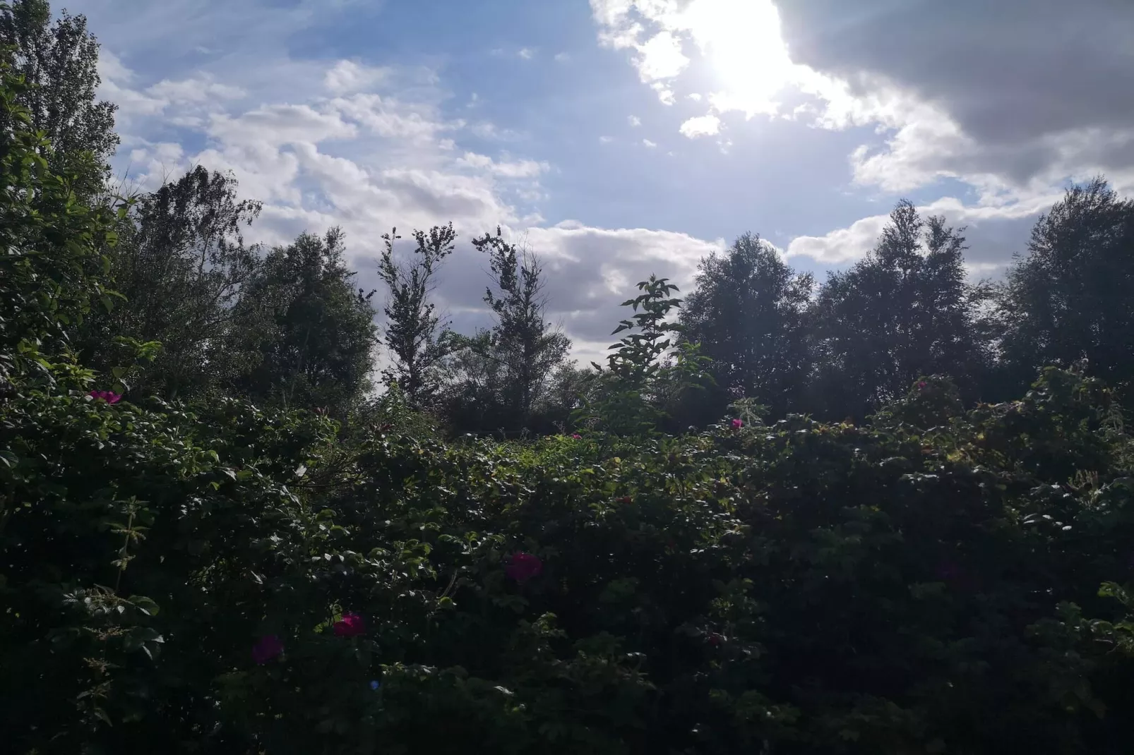 6 persoons vakantie huis in Idestrup-By Traum-Niet-getagd