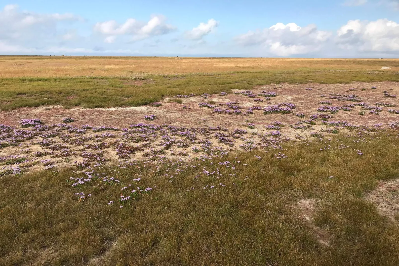 8 persoons vakantie huis in Læsø-By Traum-Niet-getagd