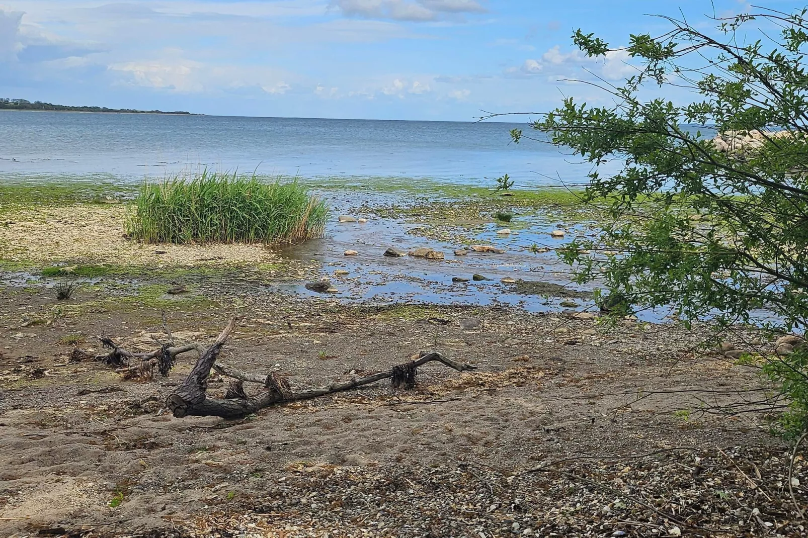 12 persoons vakantie huis in Aabenraa-By Traum-Waterzicht
