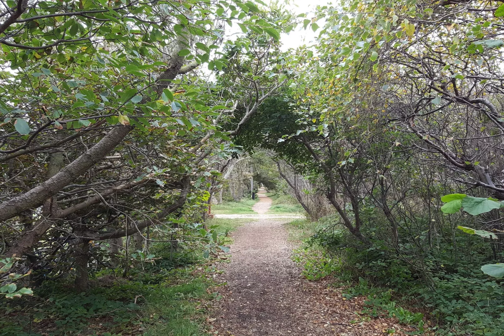 Luxe zwembadhuis nabij strand -- By Traum Ferienwohnungen-Niet-getagd