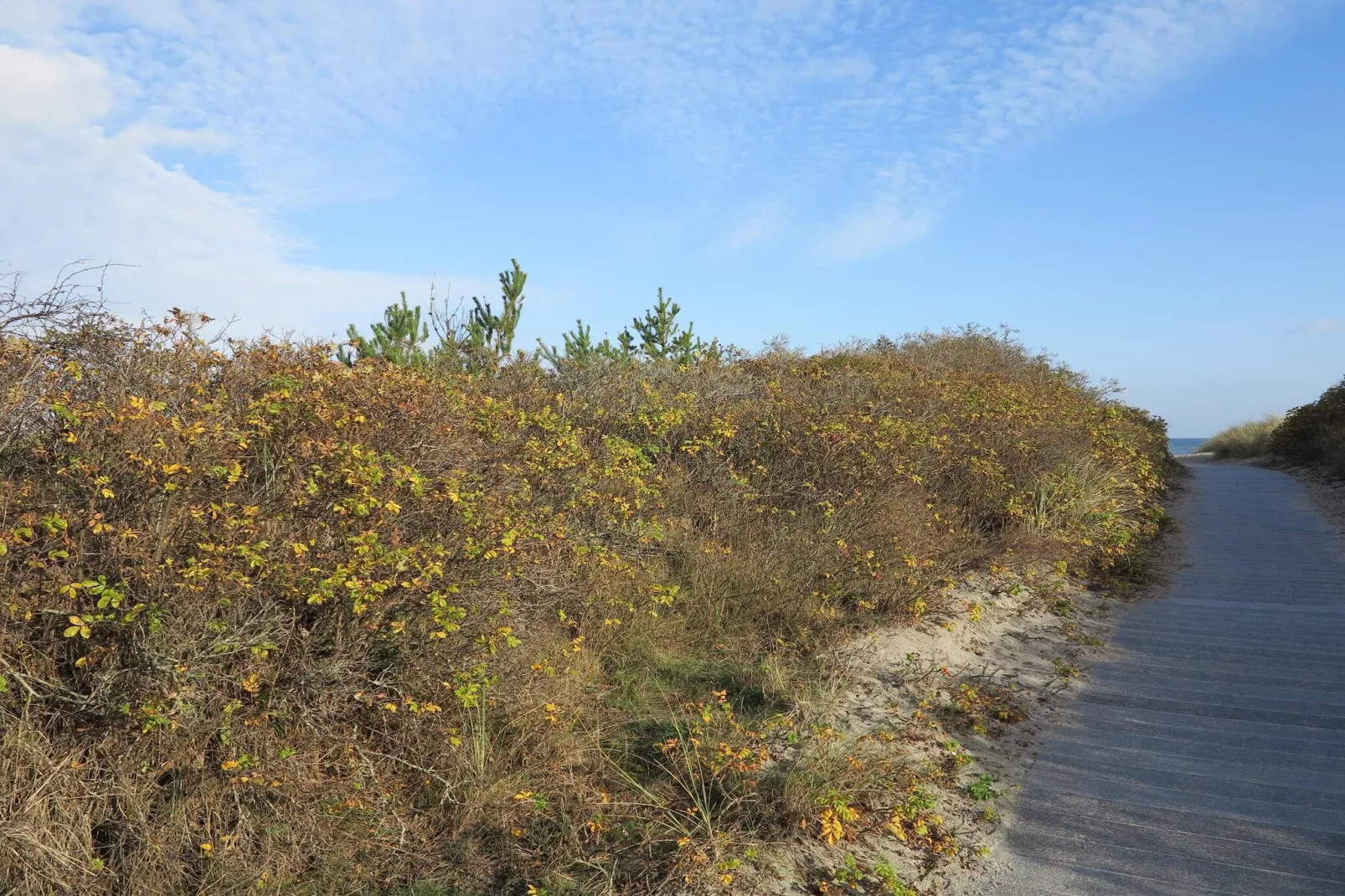 6 persoons vakantie huis in Ålbæk-By Traum-Niet-getagd