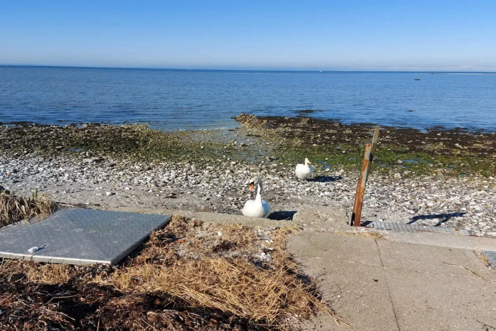 BOGENSE MARINAPARK-Waterzicht