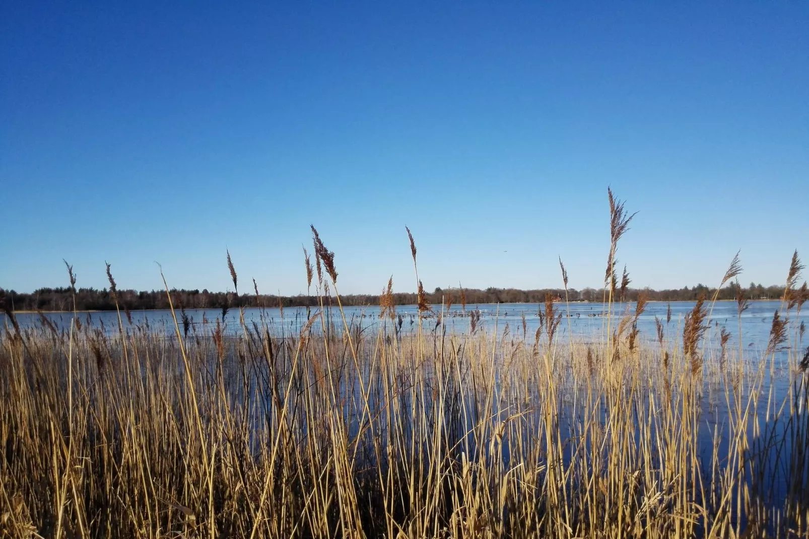 Meerzicht Retreat met Spa -- By Traum Ferienwohnungen-Waterzicht