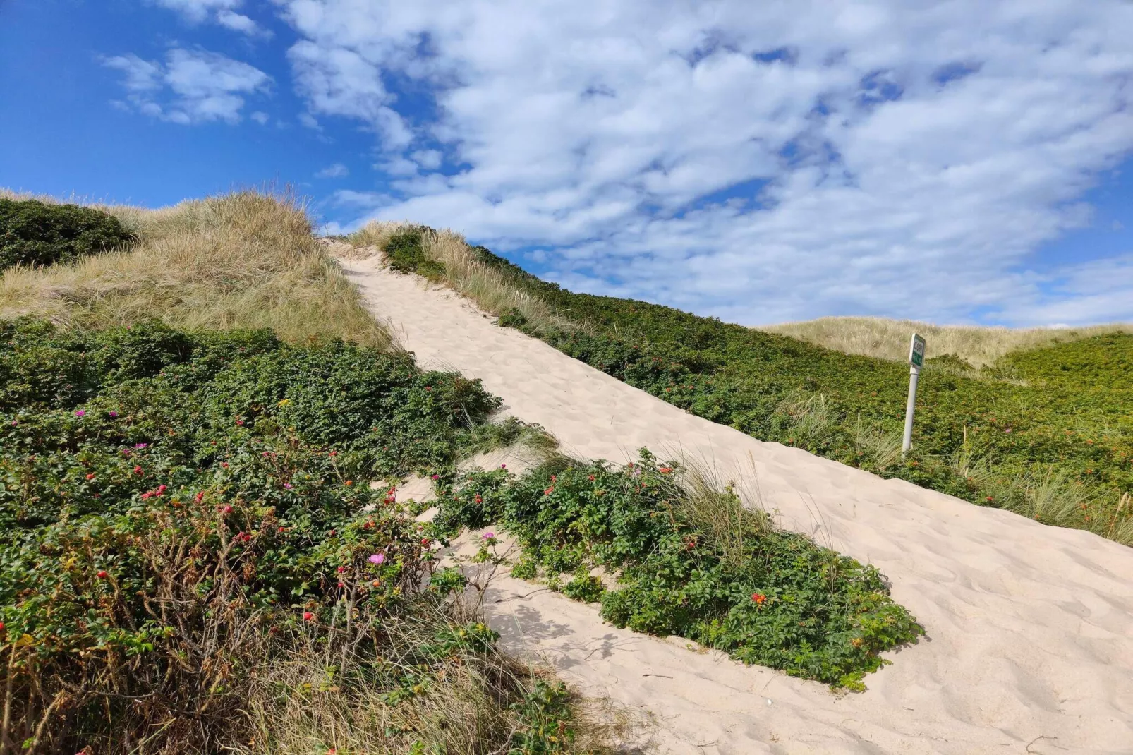 Kustgeluk in Lynderup -- By Traum Ferienwohnungen-Niet-getagd