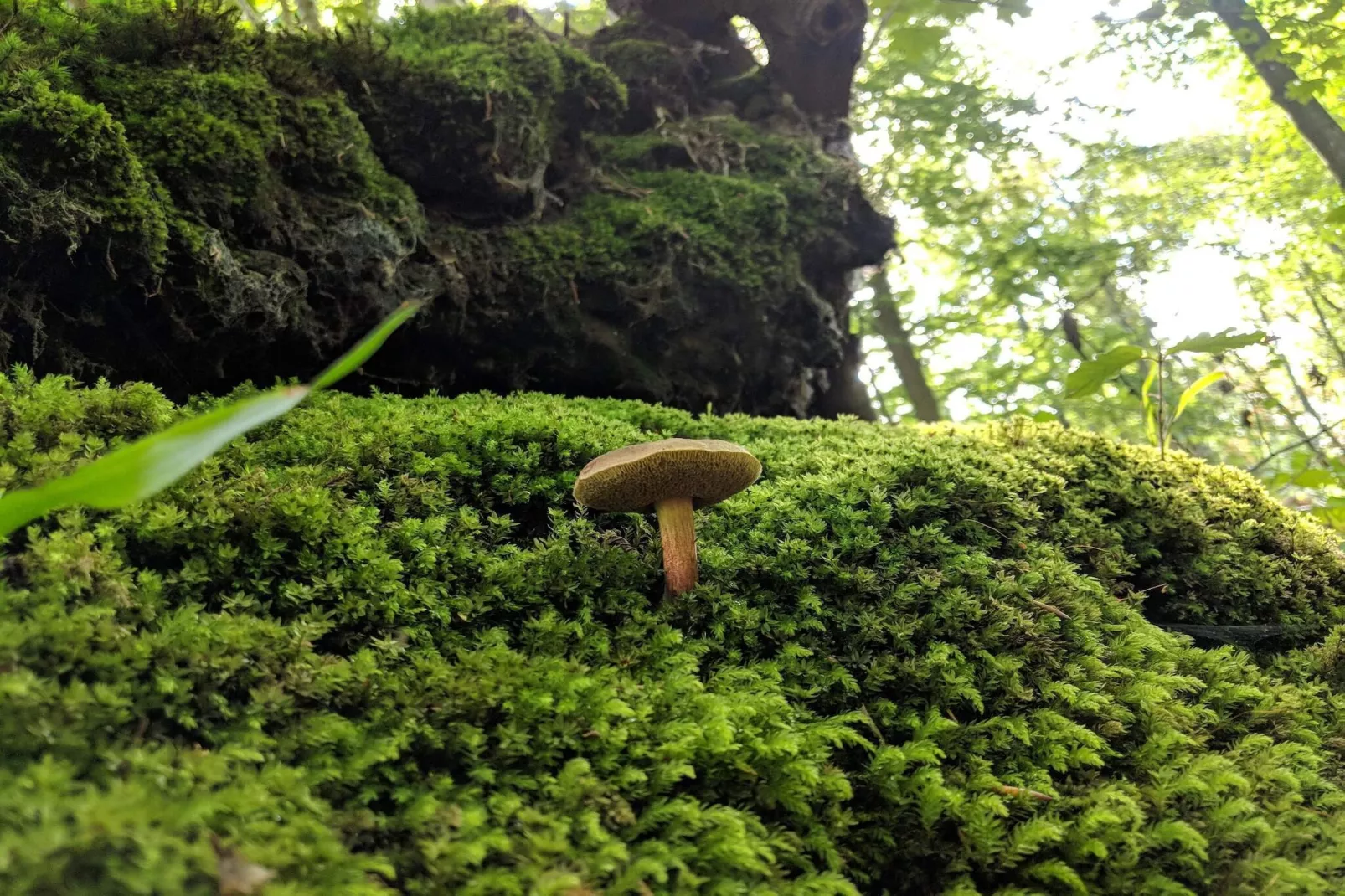 Luxe zwembadvilla in Lohals -- By Traum Ferienwohnungen-Niet-getagd