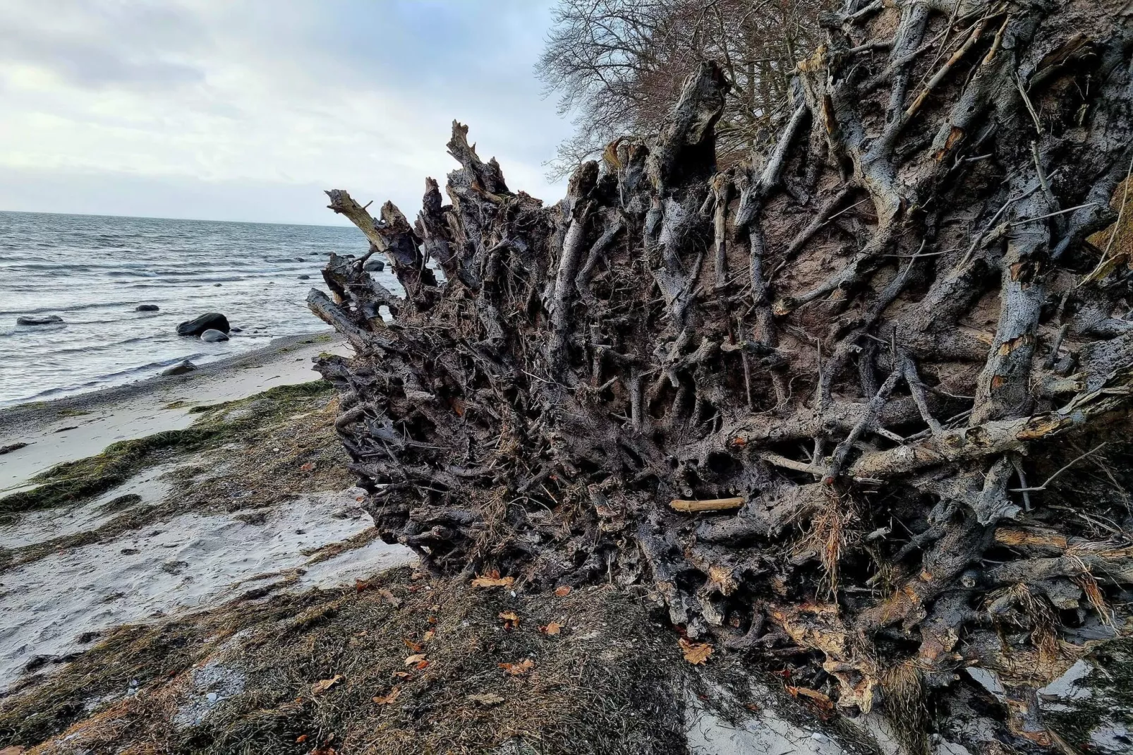 4 persoons vakantie huis in Faxe Ladeplads-Waterzicht