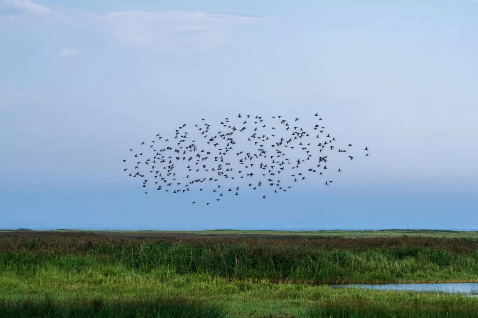 6 persoons vakantie huis in Vinderup-By Traum-Waterzicht