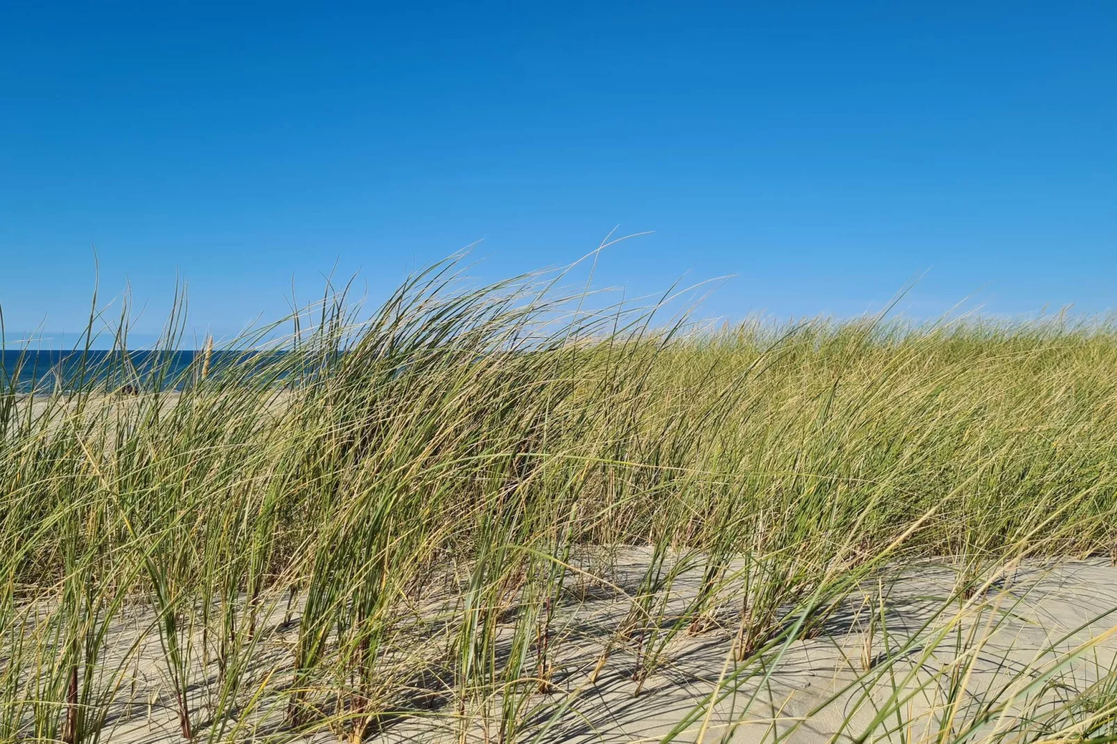 8 persoons vakantie huis in Pandrup-By Traum-Waterzicht