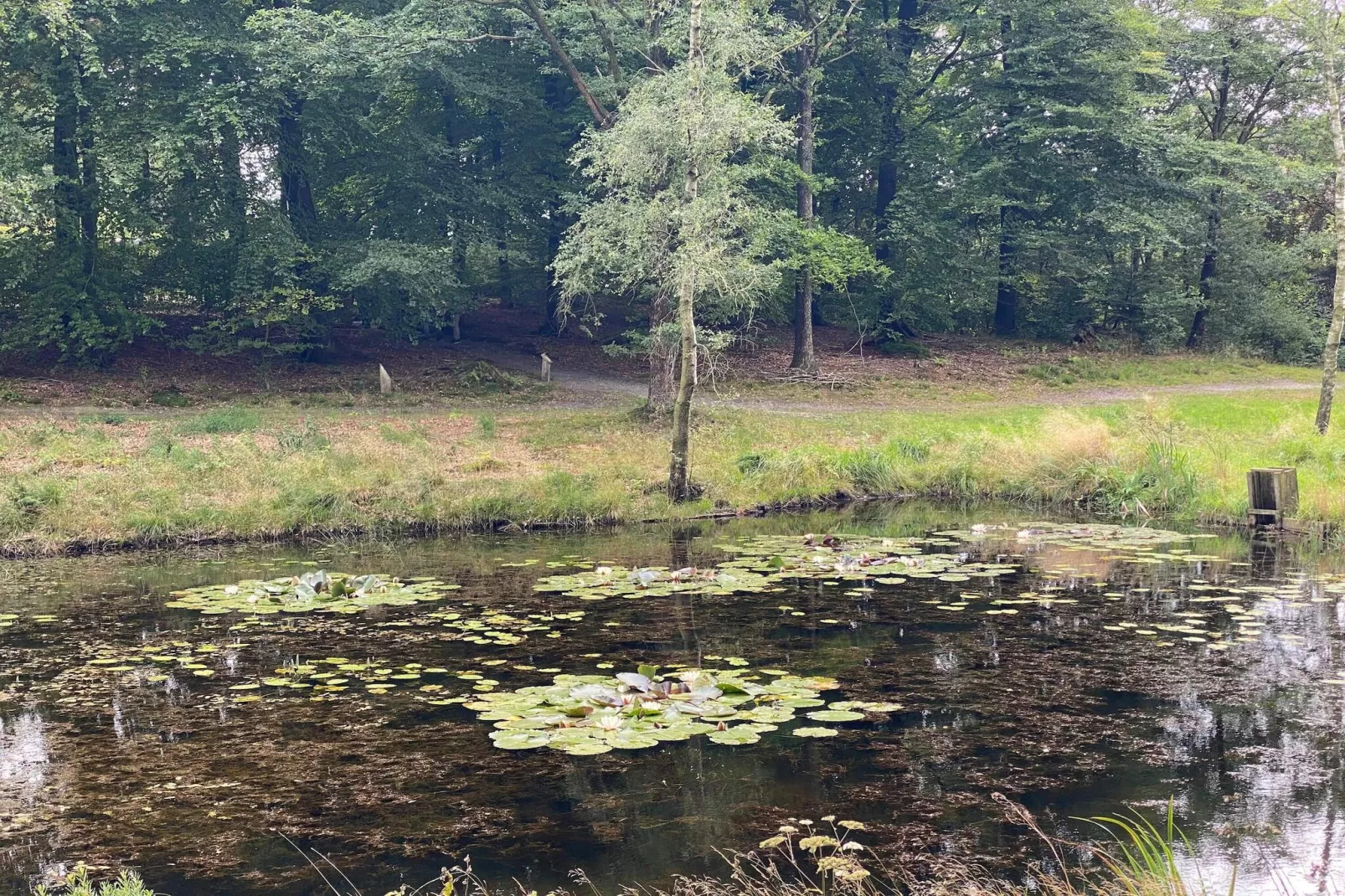 6 persoons vakantie huis in Hovborg-By Traum