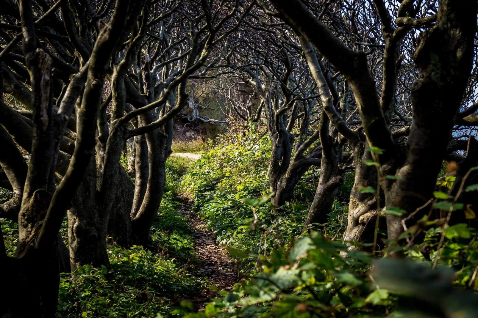6 persoons vakantie huis in Nykøbing Sj-By Traum-Niet-getagd
